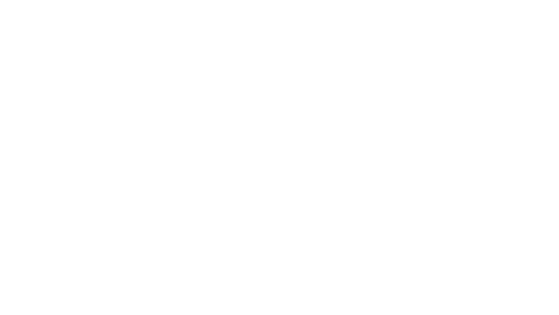 Leadership Consulting